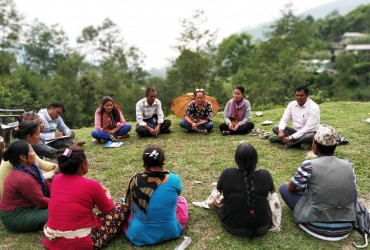 Spider Group Transformed Long-Standing Cemetery Conflict